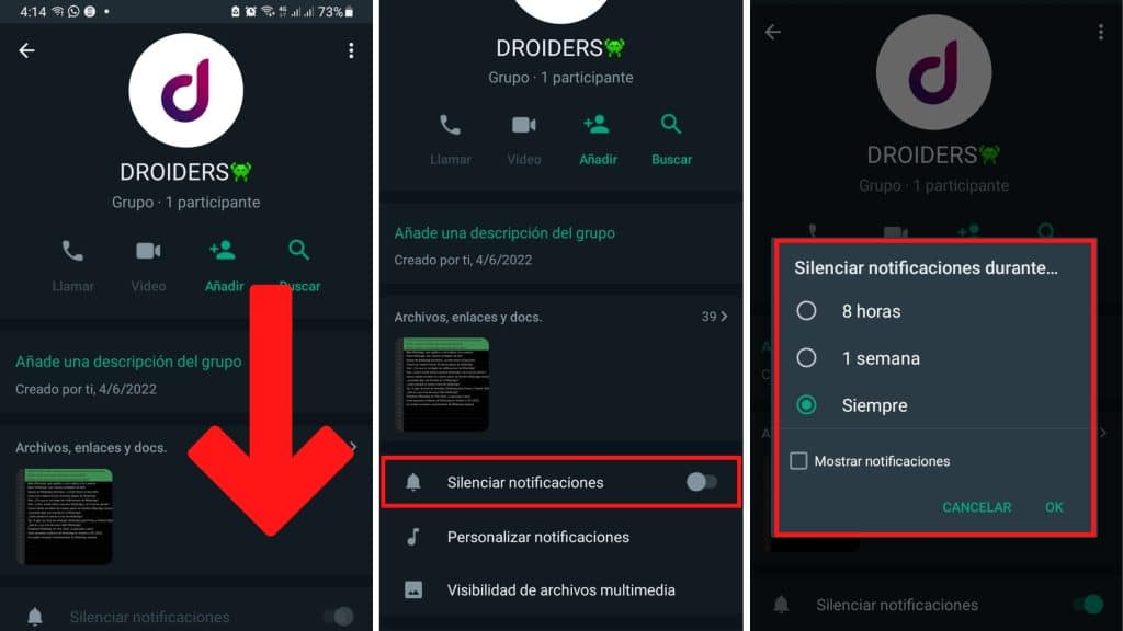 Silenciar un grupo de Whatsapp