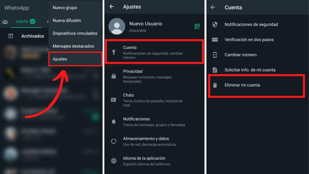 eliminar la cuenta de Whatsapp