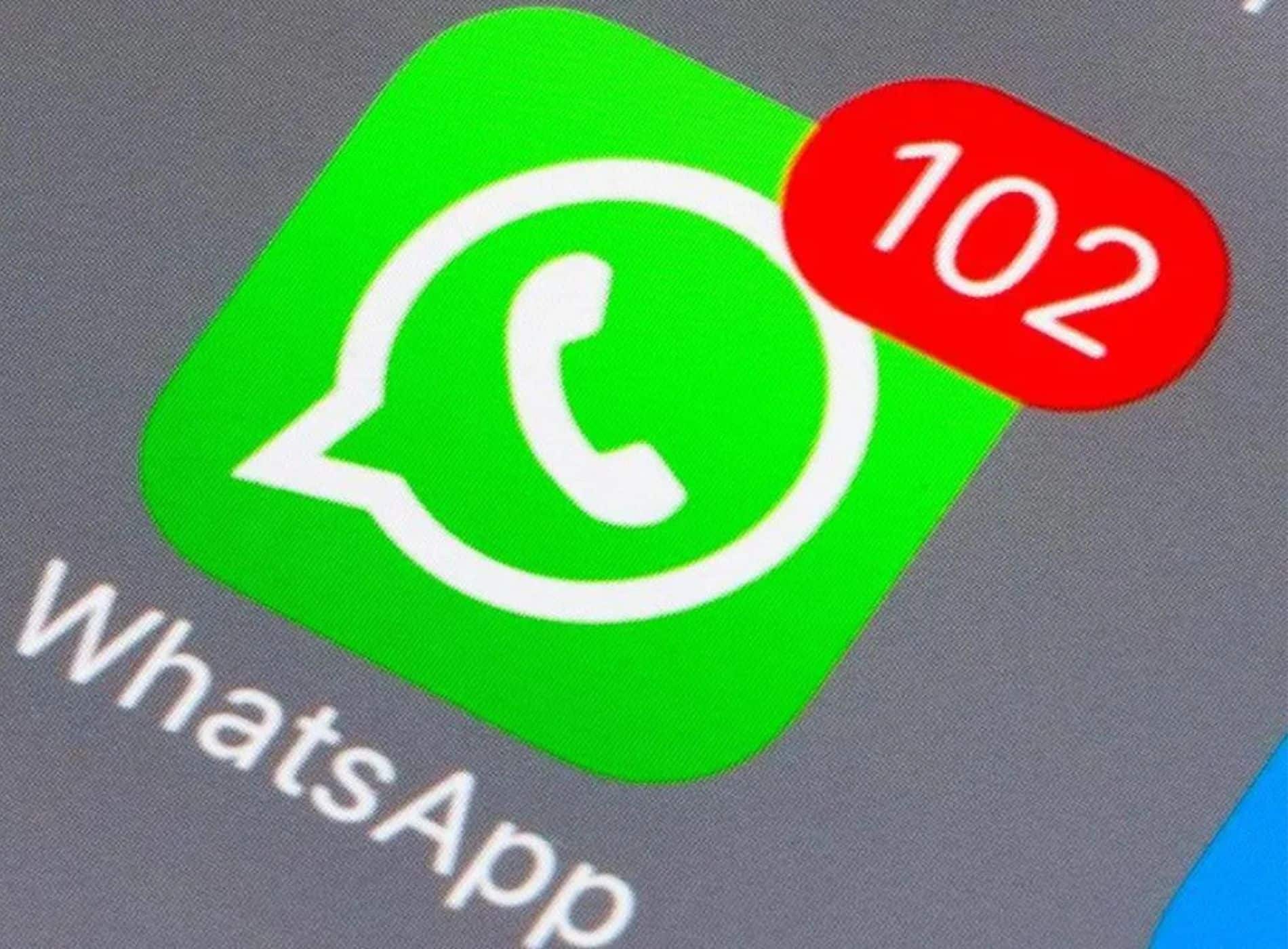 ver cuántos mensajes hay en un chat de WhatsApp