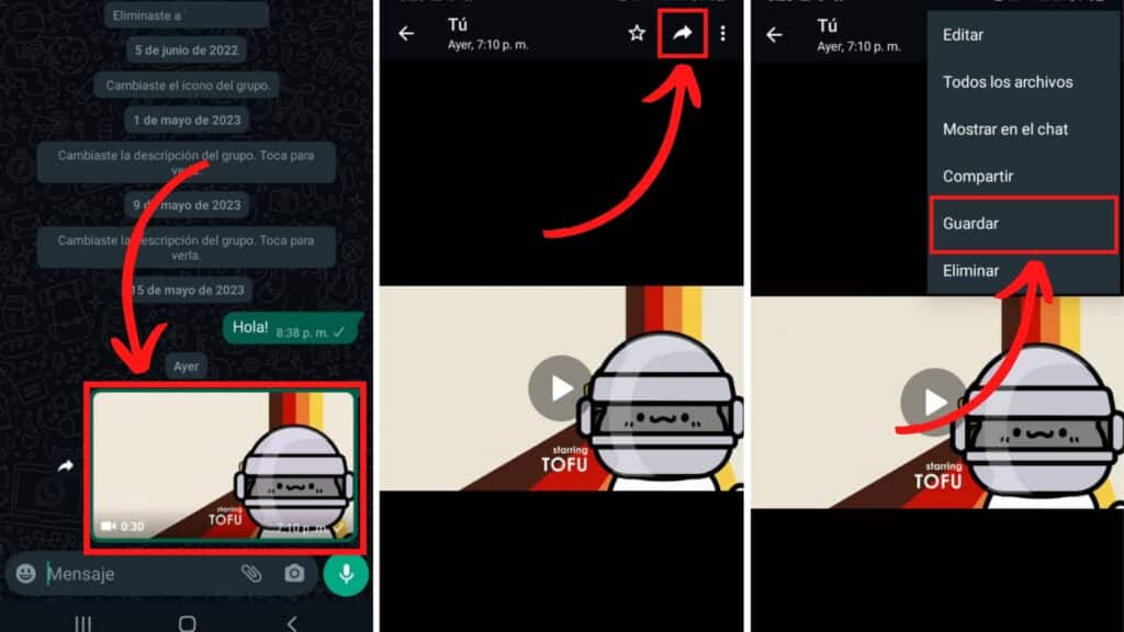 Descargar Video de WhatsApp