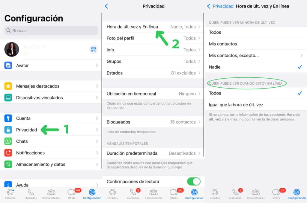 ocultar mi estado en línea en WhatsApp