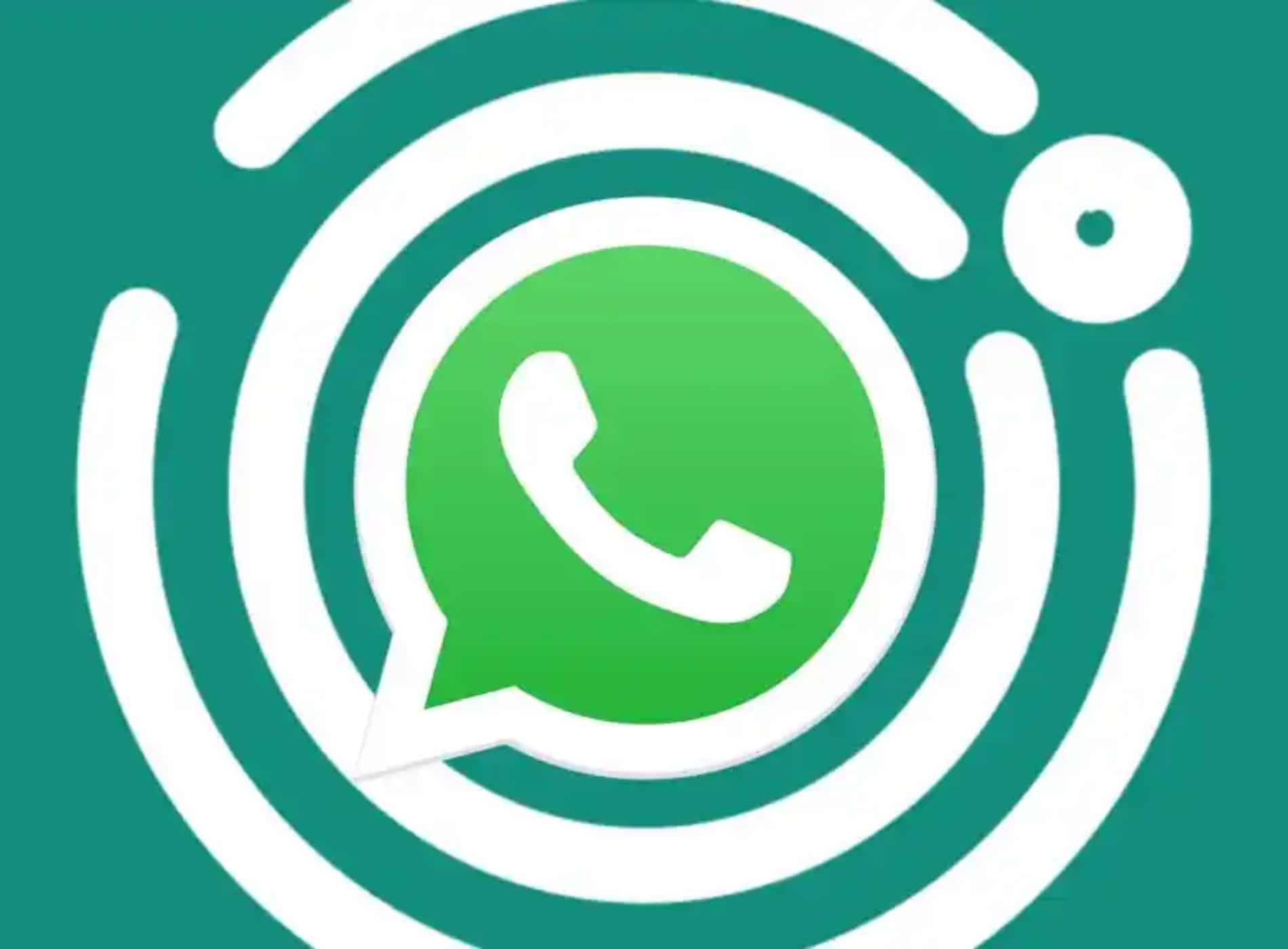 recuperar fotos borradas de WhatsApp