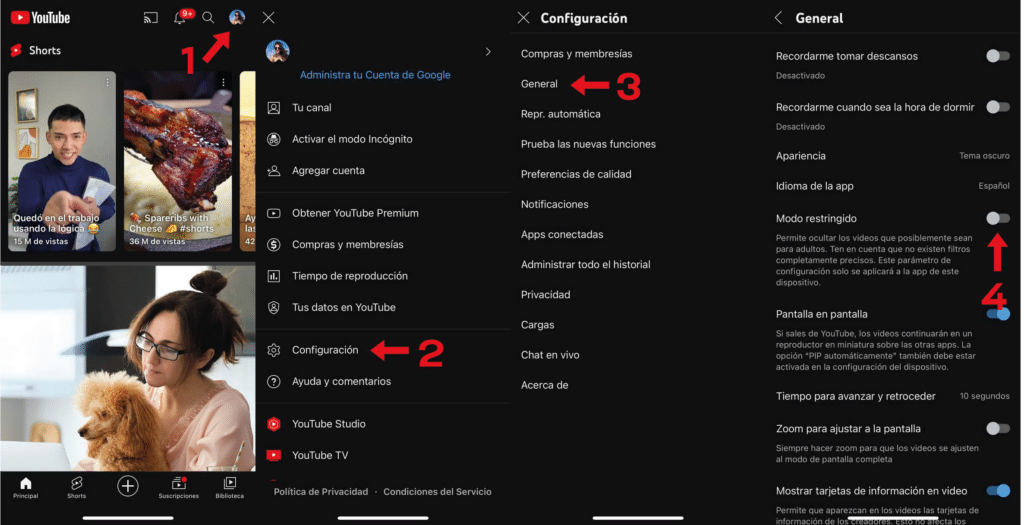 modo restringido youtube