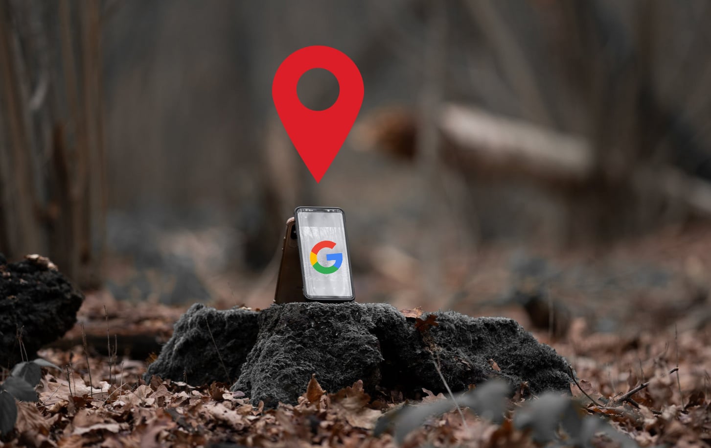teléfono móvil perdido en el bosque siendo ubicado a través de Google
